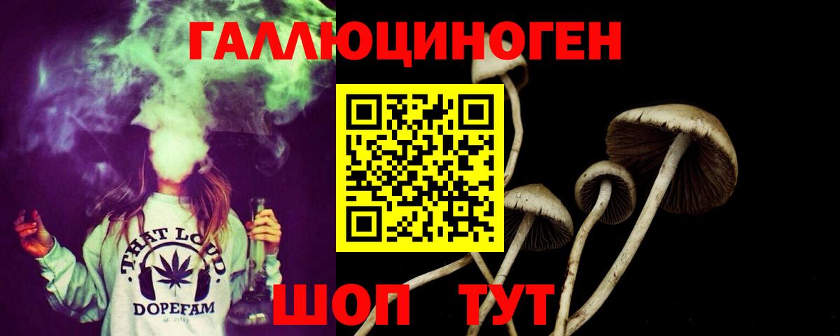 Галлюциногенные грибы Psilocybine cubensis  Вход с VPN  Зеленогорск  Псилоцибиновые грибы Magic Shrooms 